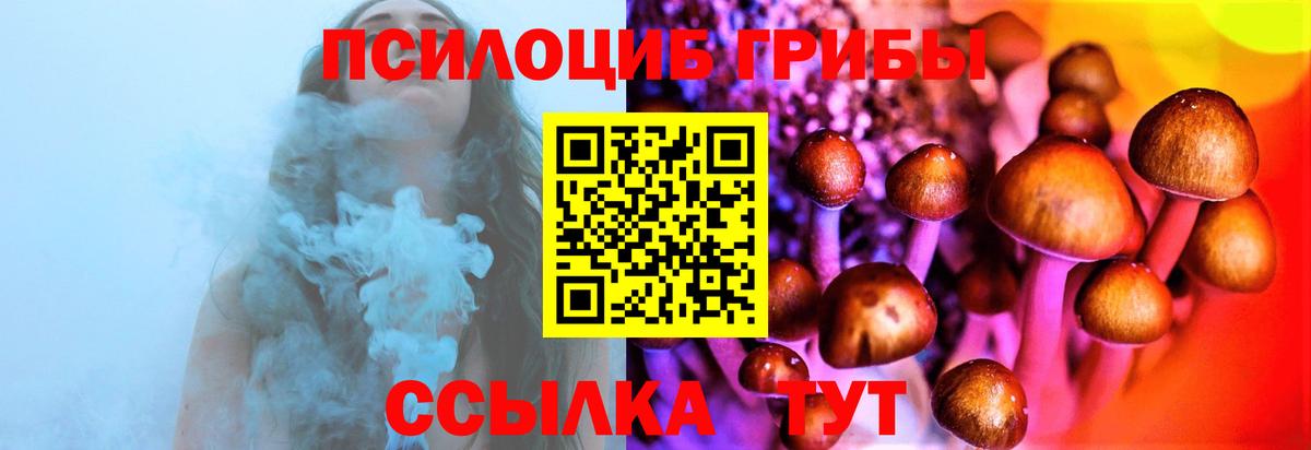 Псилоцибиновые грибы мухоморы  Вход с VPN  Кириши 